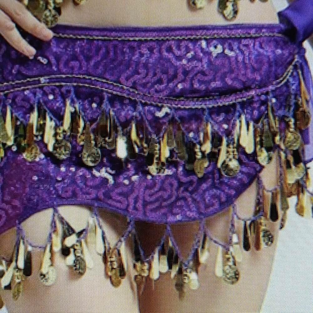 Belly Dance Skirt